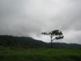 /album/fotogaleria/img-0252-jpg/