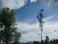 /album/fotogaleria/img-0269-jpg/