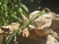 /album/fotogaleria/img-2201-jpg/