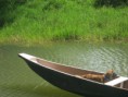 /album/fotogaleria/img-2508-jpg/